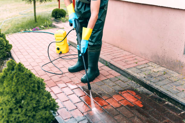 Best Parking Lot and Garage Cleaning  in Novato, CA