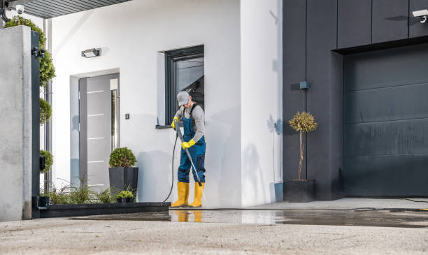 Best Fence Cleaning  in Novato, CA